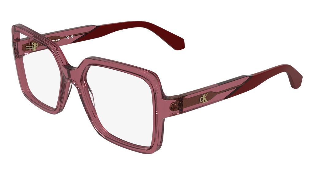 Calvin Klein CKJ26613 600