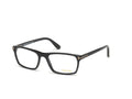 TOM FORD FT5295 002