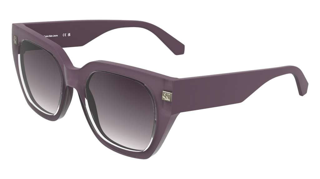Calvin Klein CKJ25620S 664