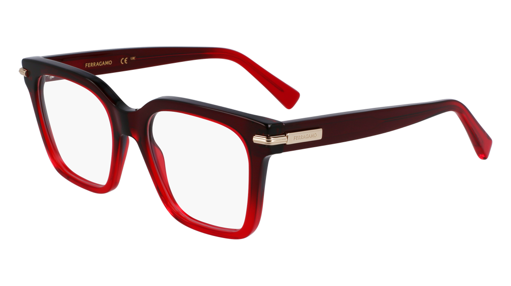 Ferragamo SF3009 615