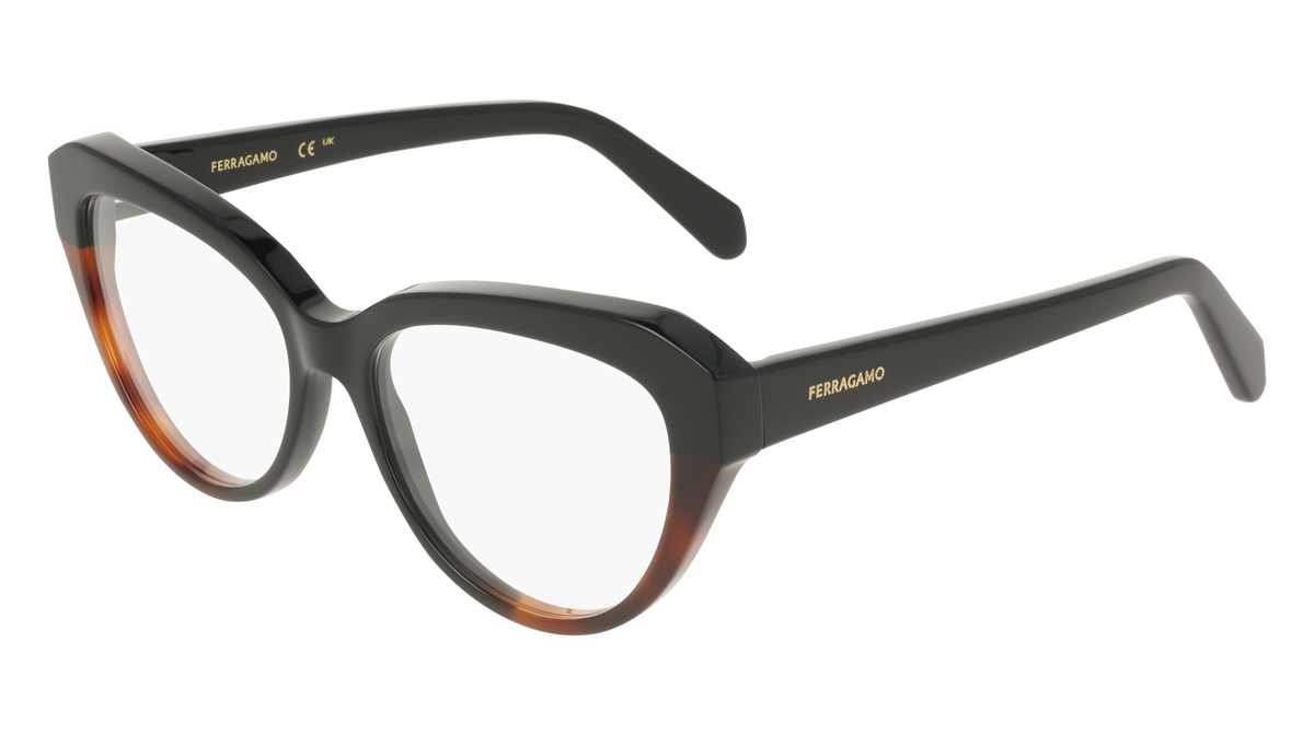 Ferragamo SF3046 006