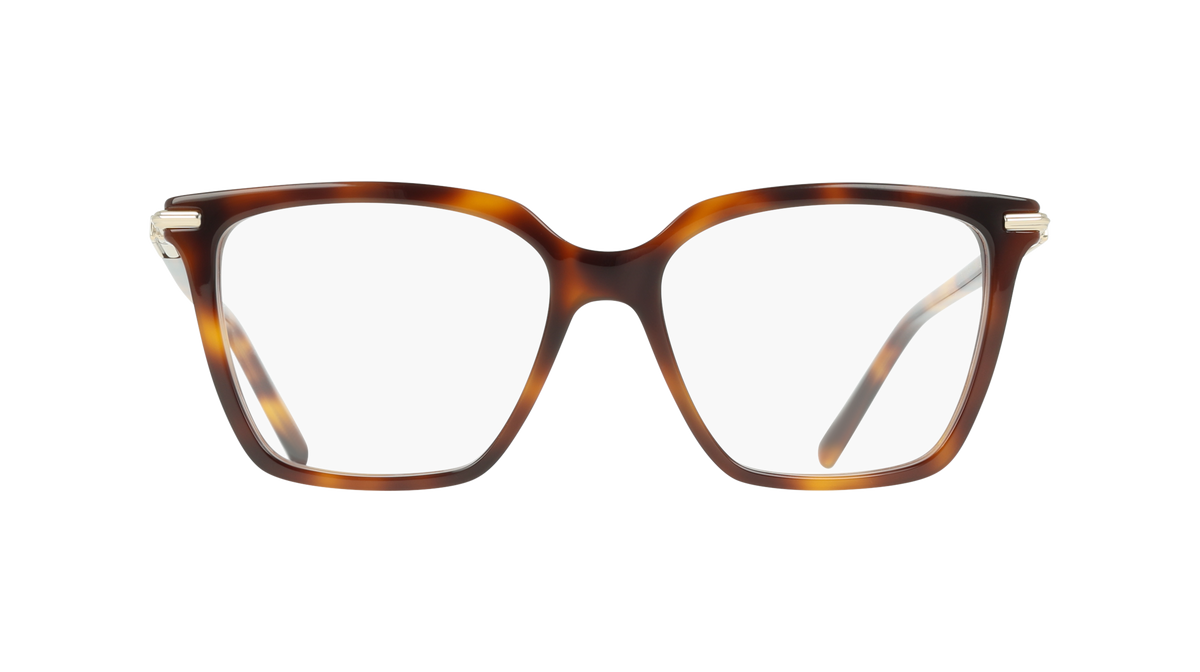 Ferragamo SF3038 240