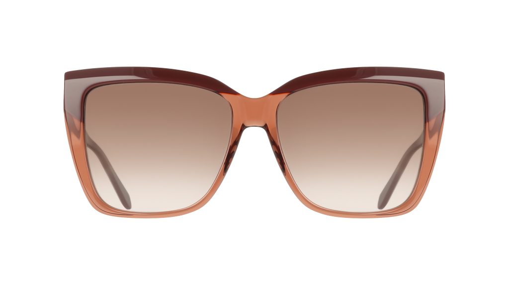 Ferragamo SF1102S 619