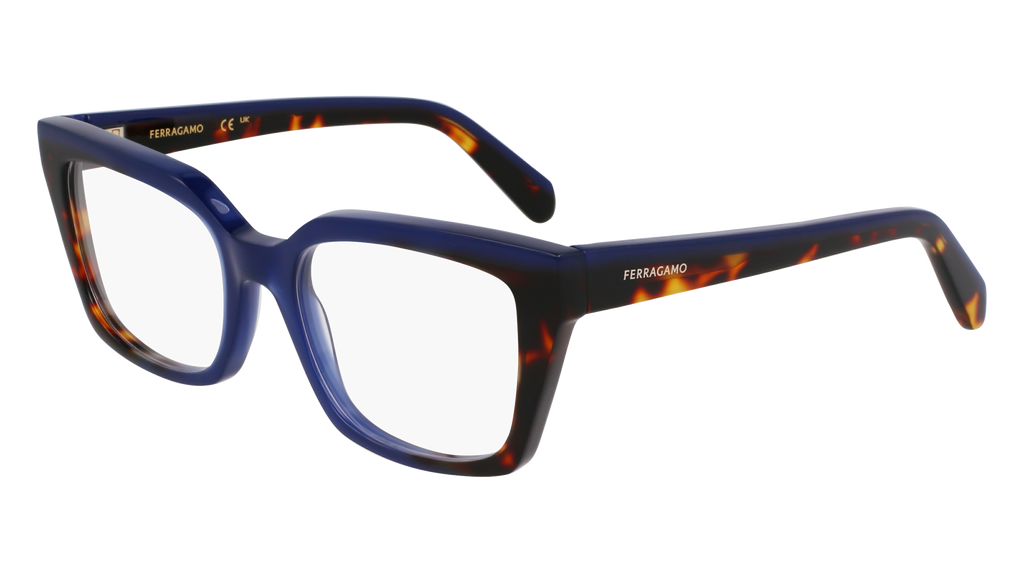 Ferragamo SF3010 424