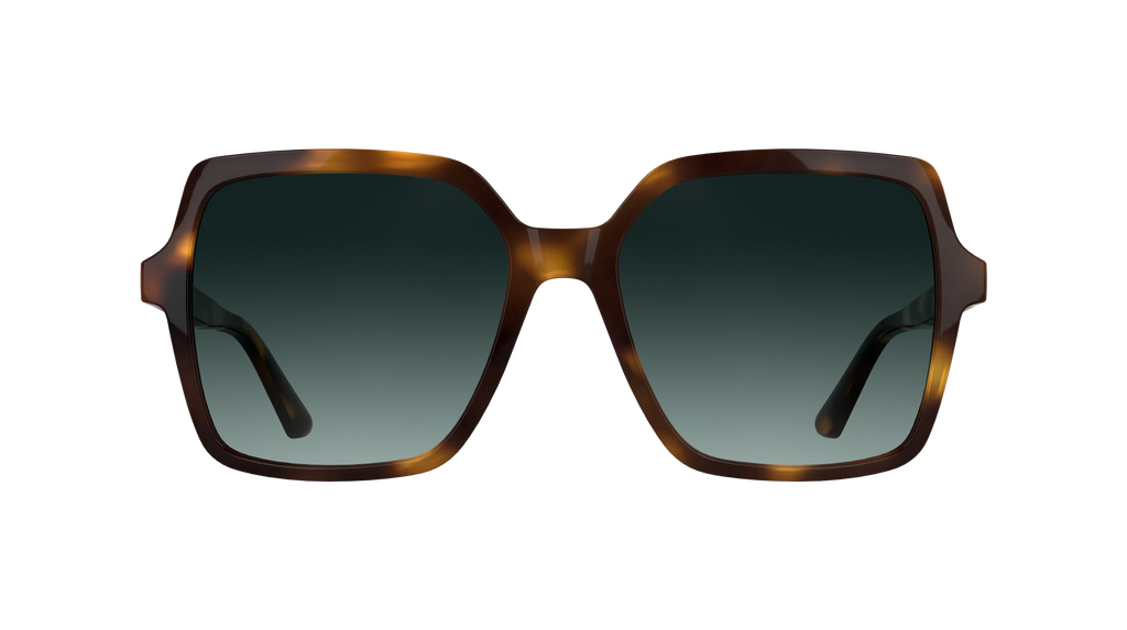 Calvin Klein CK25537S 235