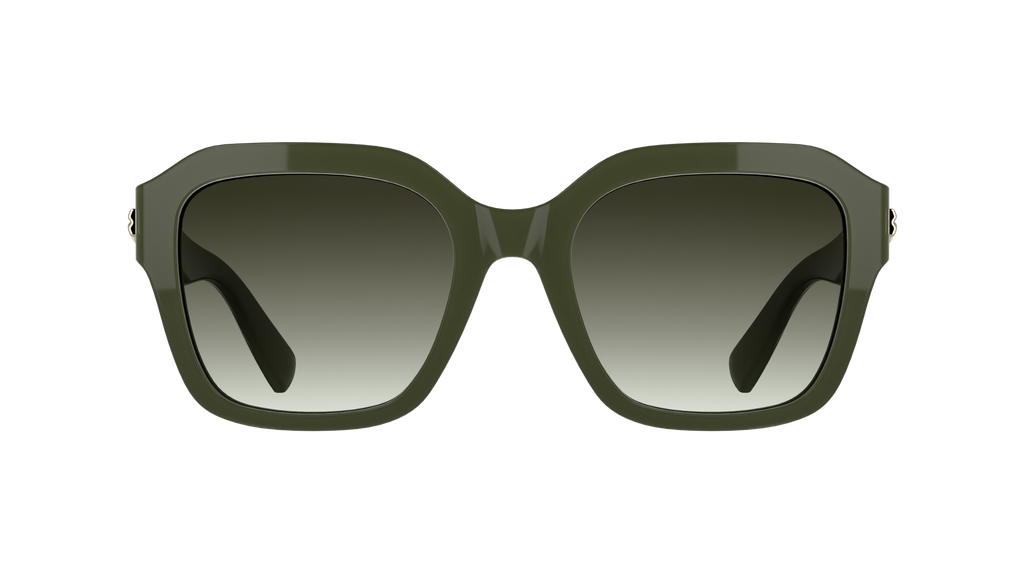 LONGCHAMP LO816S 319