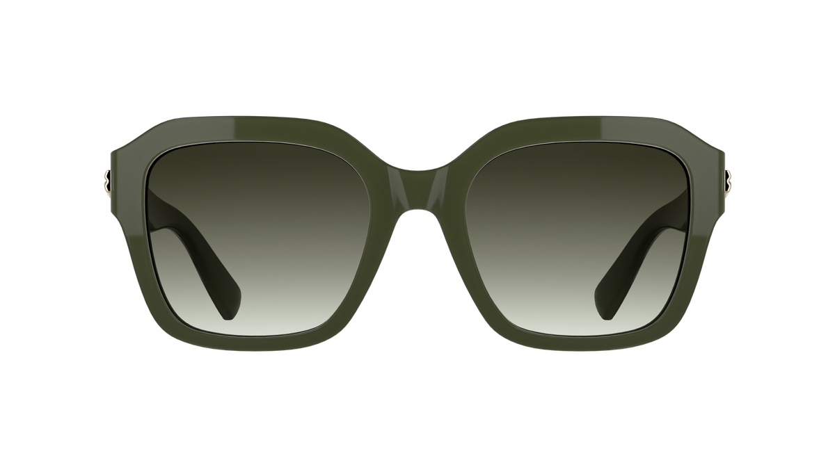 LONGCHAMP LO816S 319