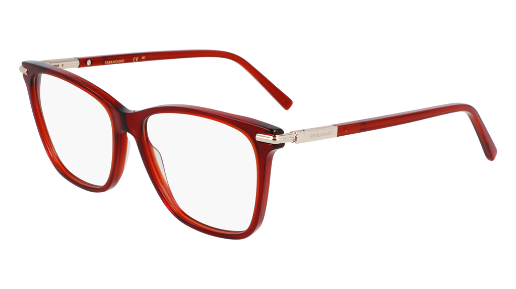 Ferragamo SF3013 616