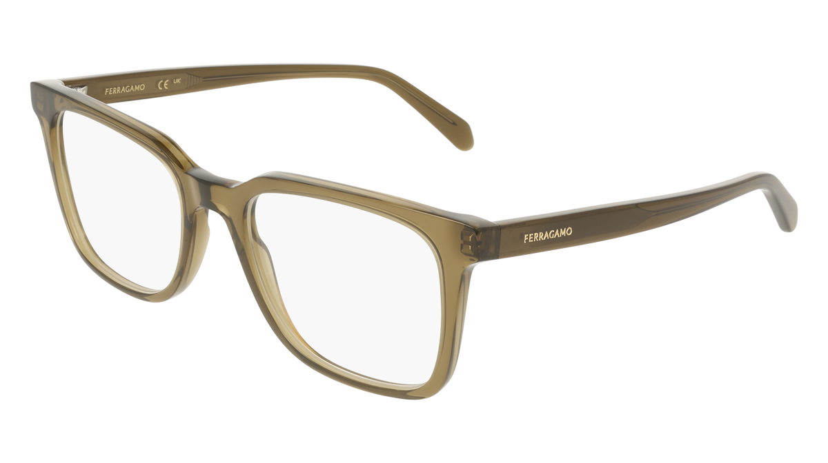 Ferragamo SF3067 320