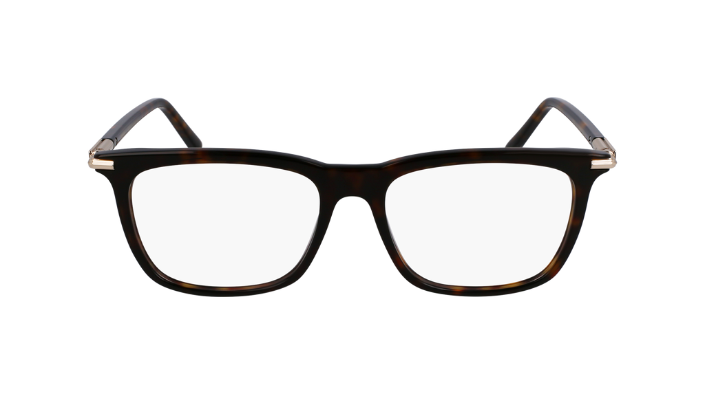 Ferragamo SF3007 242