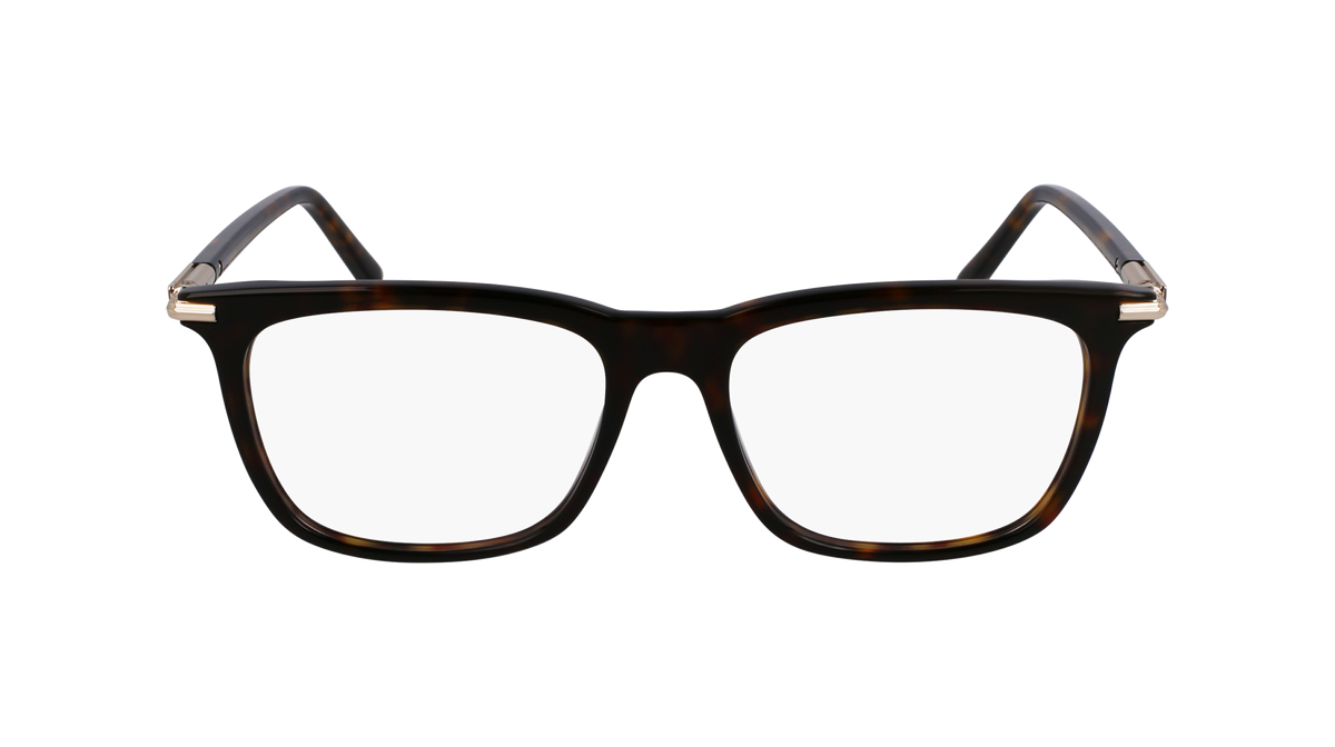 Ferragamo SF3007 242