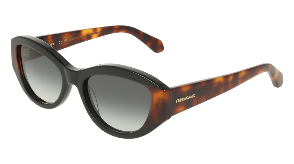 Ferragamo SF2104S 006