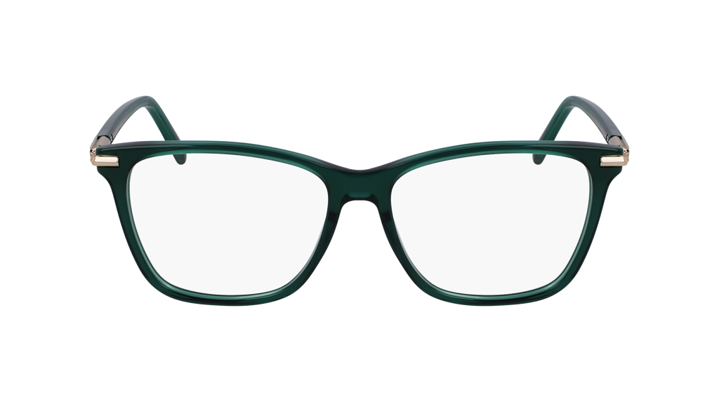Ferragamo SF3013 317
