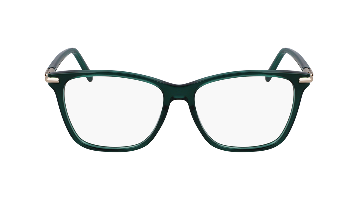 Ferragamo SF3013 317