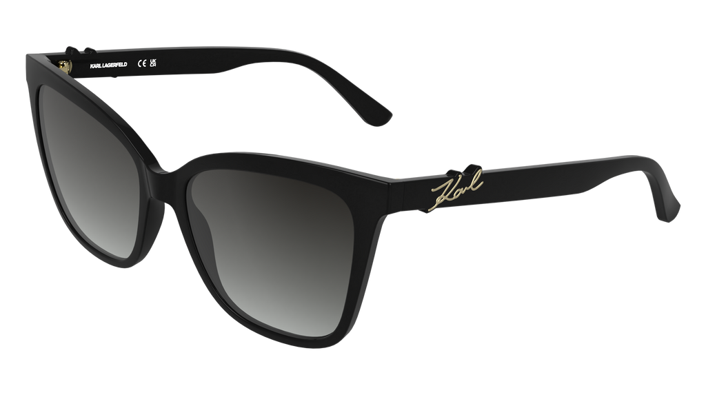 Karl Lagerfeld KL6223S 001