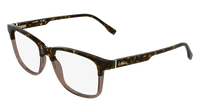 Lacoste L4002 219