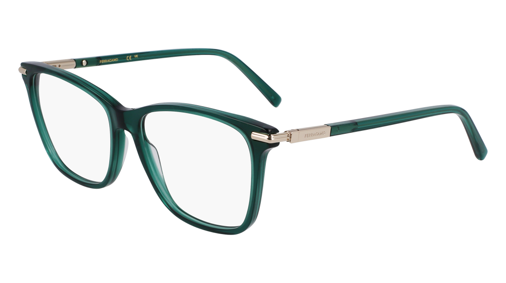 Ferragamo SF3013 317