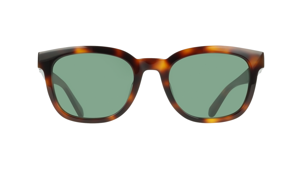 Ferragamo SF2107S 240
