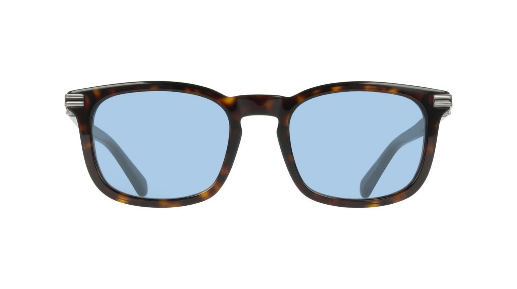 Ferragamo SF2120S 242