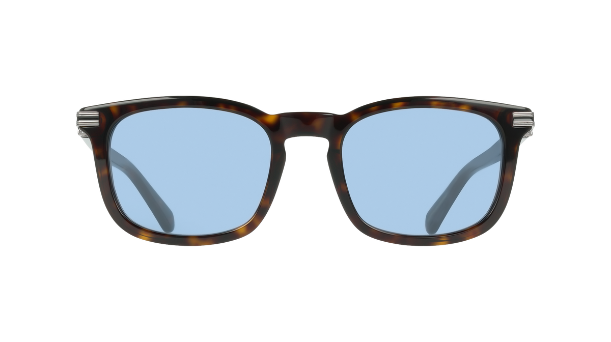 Ferragamo SF2120S 242