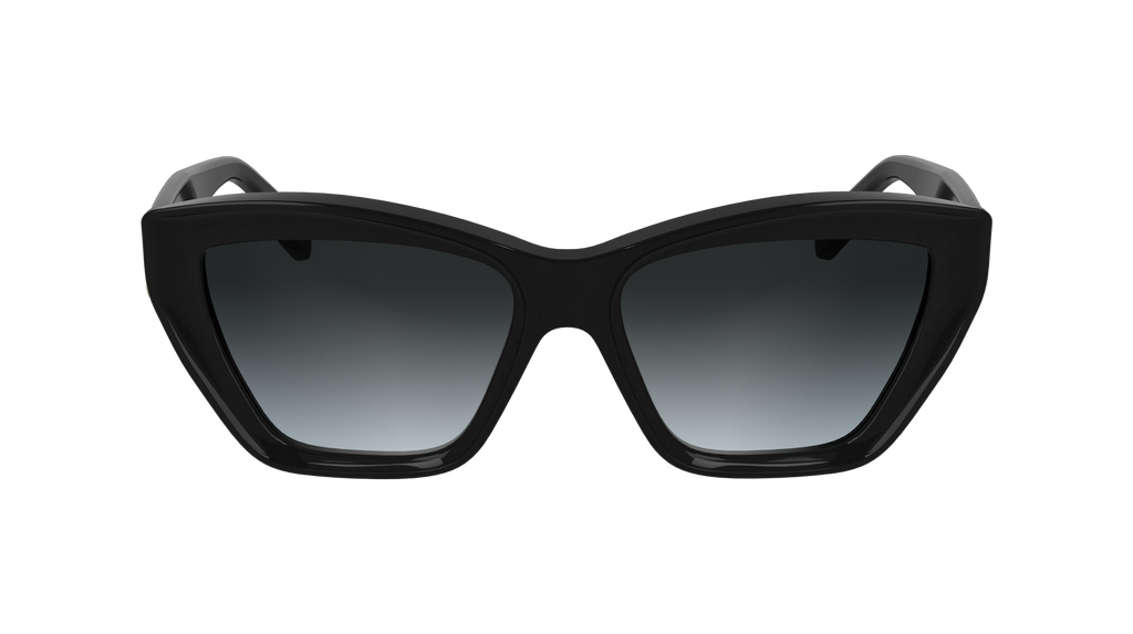Karl Lagerfeld KL6179S 001