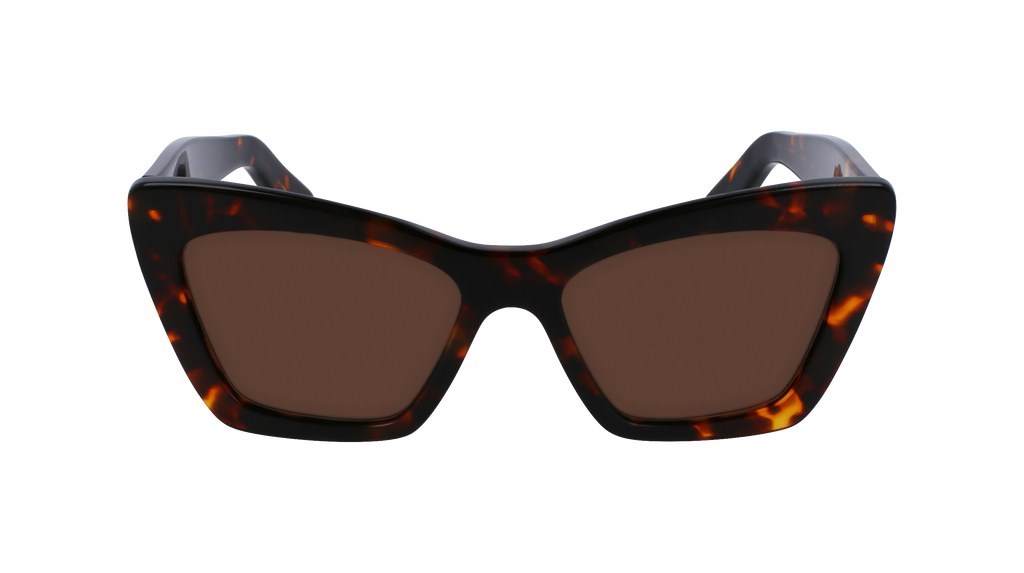 Ferragamo SF929SN 242