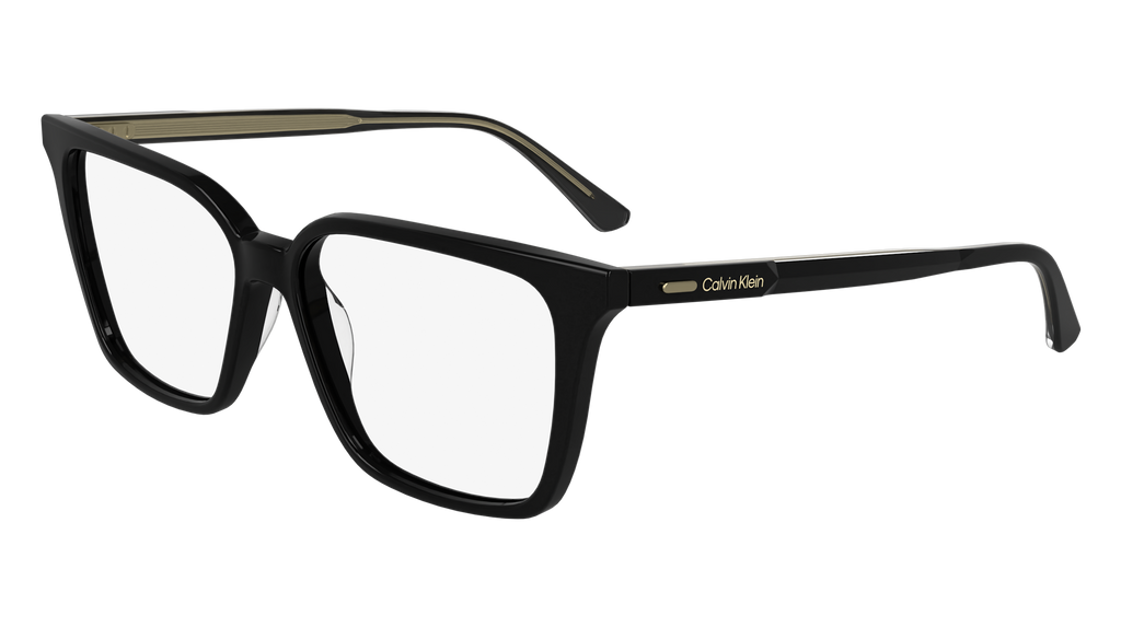 Calvin Klein CK24544 001