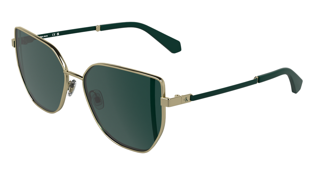 Calvin Klein CKJ25209S 717