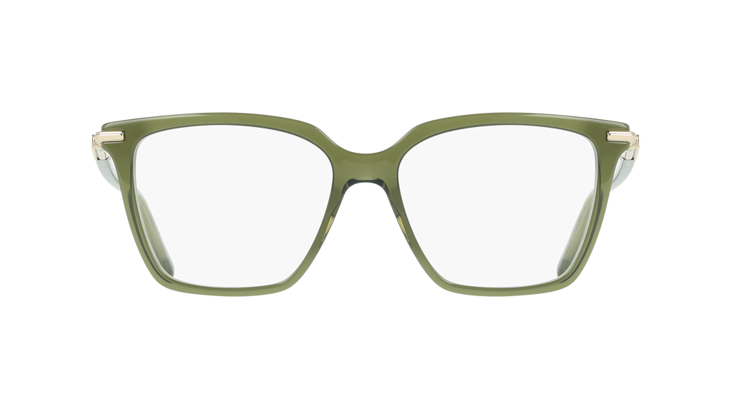Ferragamo SF3038 317