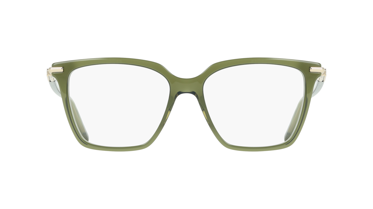 Ferragamo SF3038 317