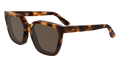Calvin Klein CK25500S 238