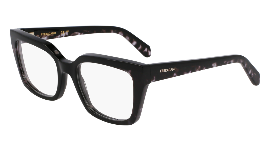 Ferragamo SF3010 004