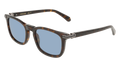 Ferragamo SF2120S 242