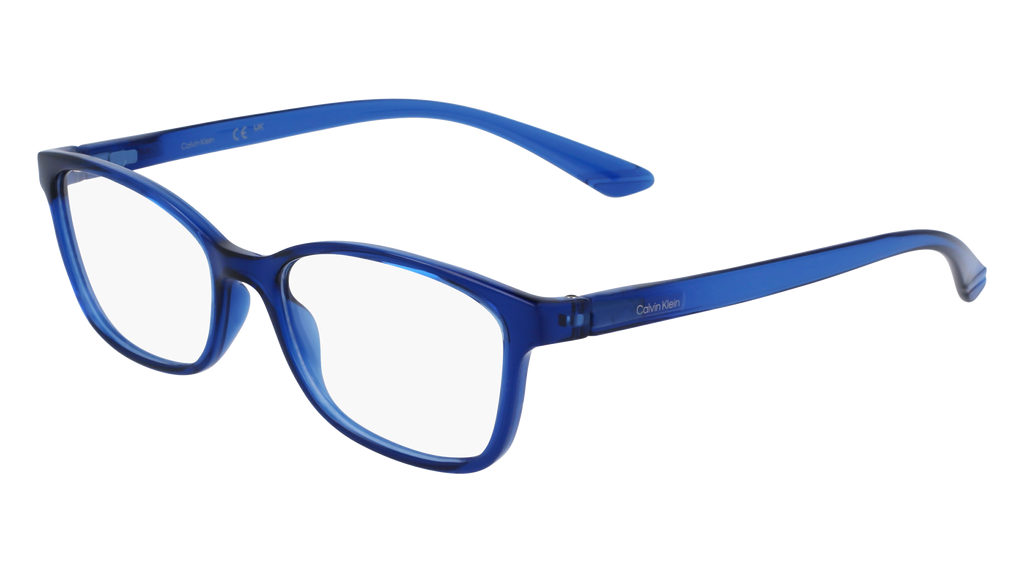 Calvin Klein CK23525N 410