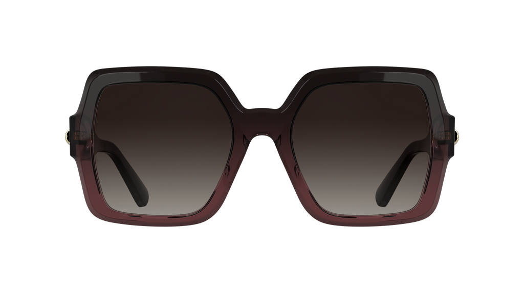 LONGCHAMP LO790S 604