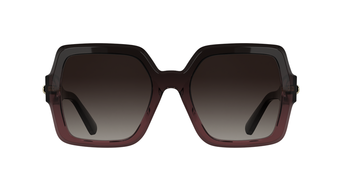 LONGCHAMP LO790S 604