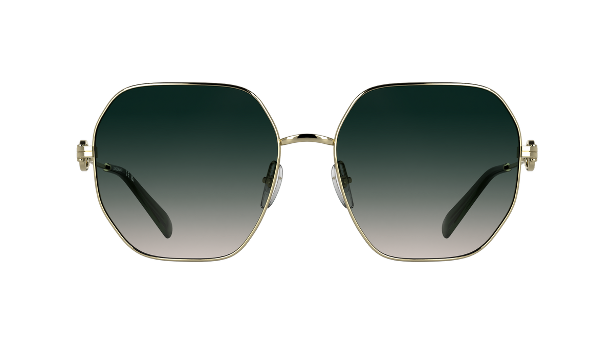 LONGCHAMP LO187S 725