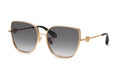 Roberto Cavalli SRC079M 300