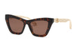 Roberto Cavalli SRC091M 743Y