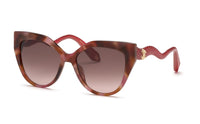 Roberto Cavalli SRC138M 01GQ