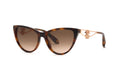Roberto Cavalli SRC158M 9AJK