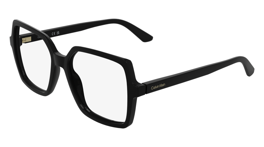 Calvin Klein CK25547 001