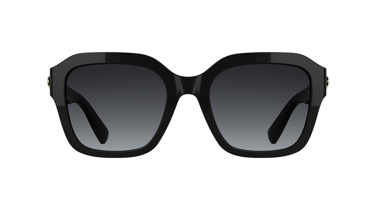 LONGCHAMP LO816S 1