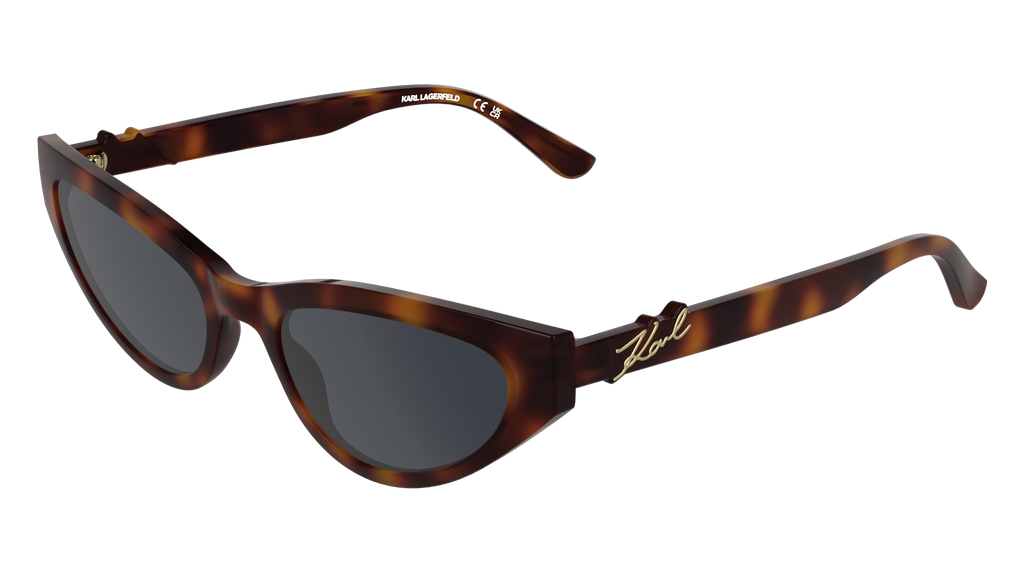Karl Lagerfeld KL6248S 240