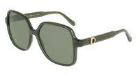 Ferragamo SF2069SE 317