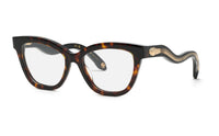 Roberto Cavalli VRC072 01AY