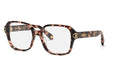 Roberto Cavalli VRC074M 01GQ