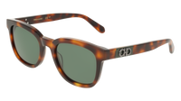 Ferragamo SF2107S 240