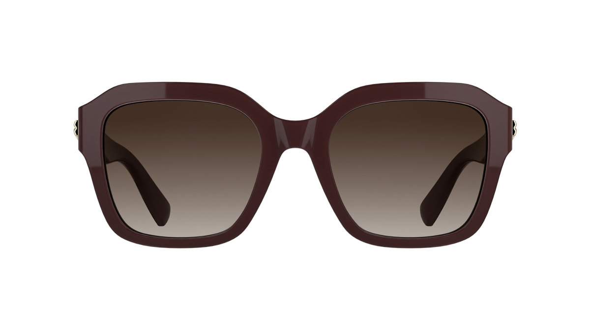LONGCHAMP LO816S 601