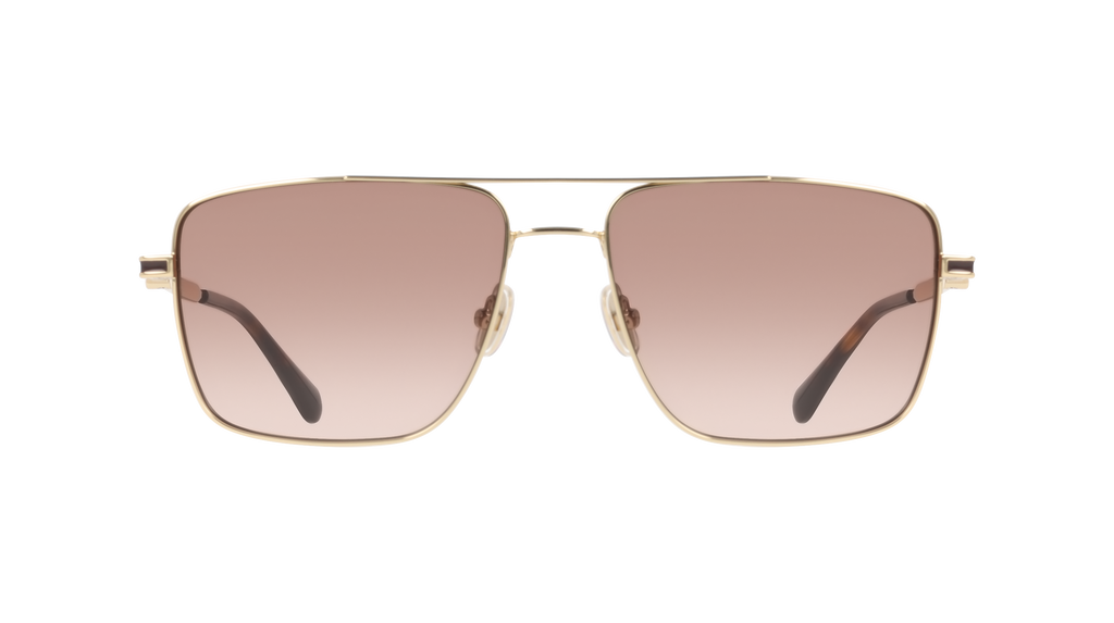 Ferragamo SF329SLBI 700